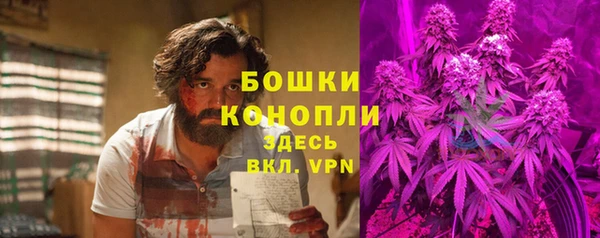 ГАЛЛЮЦИНОГЕННЫЕ ГРИБЫ Козельск