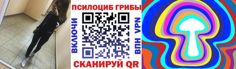 Галлюциногенные грибы Magic Shrooms  Купить где  Валуйки 